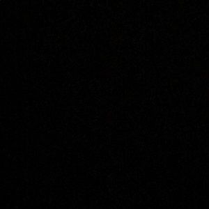 Meet your Posher, Trey